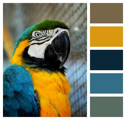 Ai Generated Bird Parrot Image